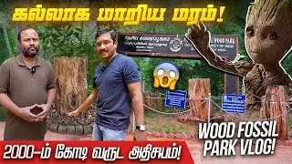 100 ACRE NATIONAL FOSSIL WOOD PARK!! - Live Vlog!
