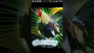 Gallo remix morning