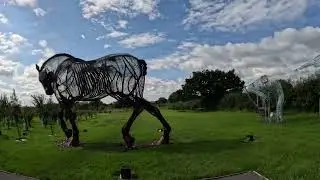 Warhorse
