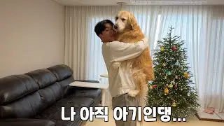 곧 10살 되는 리트리버를 키우는 부부가 갑자기 눈물 쏟은 이유