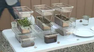 Improving Soil Structure and Water Management