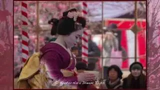 Tea Ceremony at the Kitano Tenman-gū Shrine in Kyoto!