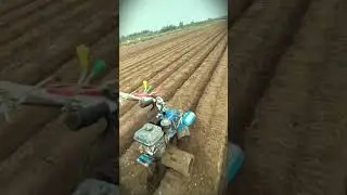 The process of digging and forming soil in large fields #shorts