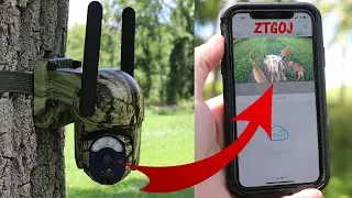 ZTGOJ 4G Solar Trail Camera: Pan/Tilt, Live View, Videos on Your Phone! Field Testing and Review