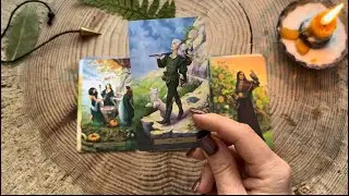 🤩ЯРКИЕ СОБЫТИЯ☀️ФЕВРАЛЯ 2026💰💞 Общий расклад на Таро🍀