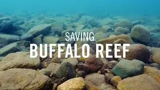 Saving Buffalo Reef