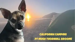 #Two adorable puppy sisters camping on the beach - Pt Mugu Thornhill Broome campground