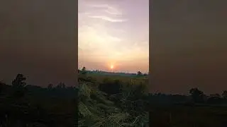 🍂💫~গ্রামের পরিবেশ~🍂👋🏻🌾💙#nature #love #shortsviral #shortvideo #shortvideo #shortvideo  #shortvideo