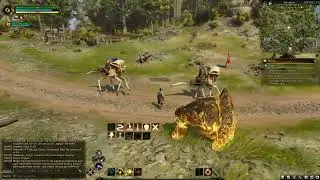 Ashes of Creation Early access 8k60 FG in use. RTX 5090.