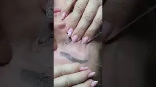 Clean & Sharp Brow Refresh by Leyla