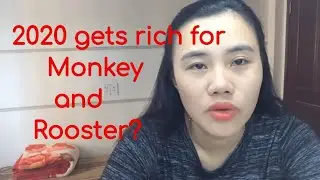 Year of the Metal Rat 2020 gets rich for Monkey and  Rooster?