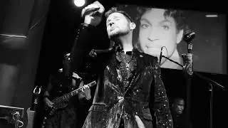 Martin Kember - Prince Tribute THE BEAUTIFUL ONES- When Doves Cry-The Prince Tribute Band