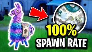 Find A Llama EVERY GAME at This Location! (100% Spawn Rate)