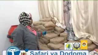SAFARI YA DODOMA  SIKU YA WANAWAKE