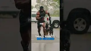 ASHTON HALL - SMALL HABITS BIG SUCCESS