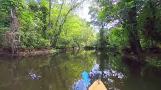 Kayak Trip in Riverbend Park, Jupiter, Florida