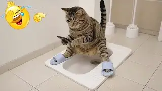 You Laugh You Lose 😂 Funniest Cats and Dogs 2026 😅