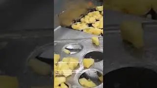 Pineapple Processing Line #shorts #viral #pineapple #pineappleprocessing