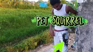 My Little Brother Got A Pet Squirrel...