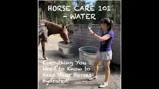 Horse Care 101 -  Water - Everything you need to know about keeping your Horses Hydrated