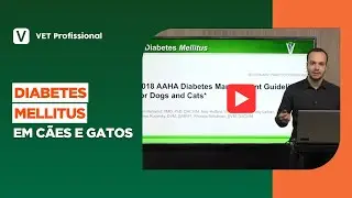 Diabetes Mellitus em c&atilde;es e gatos: como realizar o tratamento?
