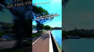 🚀 A Quick Run Along Rose Bay in Sydney! #shorts #virtualrun
