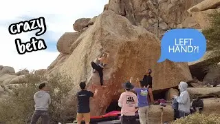 Scatterbrain**** 😵&zwj;💫🧠 (V6) Send - Joshua Tree
