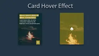 CSS Card Hover Effects | HTML CSS