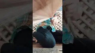 How to process the broom fiber