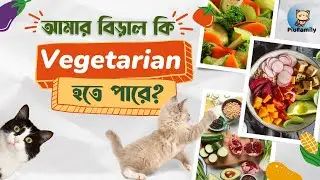 By any chance, বিড়াল কি ভেজিটেরিয়ান হতে পারে? | PiuFamily
