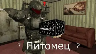 Питомец