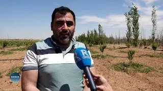 هيئة الاقتصاد والزراعة في مقاطعة الرقة تواصل أعمالها في مشروع الأشجار المثمرة
