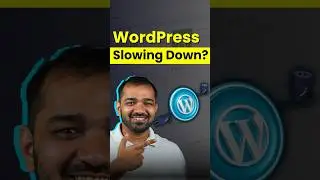Slow WordPress? Fix It In 30 Secs