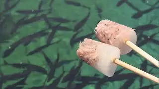 四国水族館に当たり付き「オキアミアイスキャンデー」が登場　香川・宇多津町