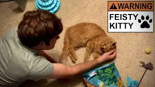 Feisty Feline Fights His Tube