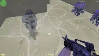 zyllee OWNS topo on holy_lame m4a1 (read description)