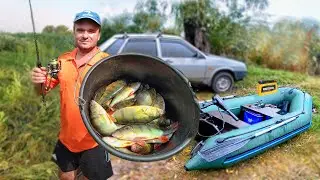 Perch Fishing with LiveBait: How to Catch Perch on LiveBait