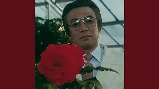 The Rapist