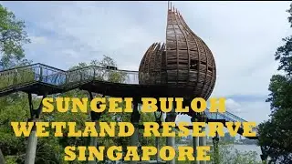 SUNGEI BULOH WETLAND RESERVE! #adventure #amazing #place #stressrelief #unwind #nature @indaychelle