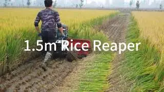 1.5m Rice Reaper with Walking tractor for Rice reaping and harvesting