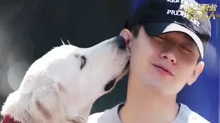 #chengyi #成毅 ，resque dog