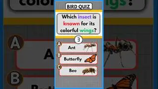 Insects & Education Quiz 🦋📚 | Butterfly Wings + Math Subject | Fun GK Quiz 😄