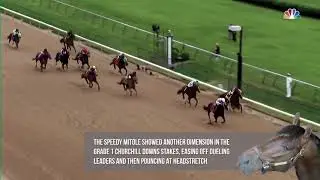 2019 Met Mile Contender - Mitole