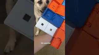 Did you know that mentally stimulating toys can improve your dog&rsquo;s overall behavior?