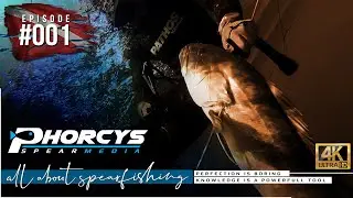 🐟 Phorcys Spearmedia #001 🌍 Spearfishing Videos Worldwide
