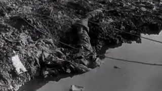 WW1 Bumblebee 2