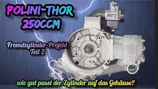 Polini-Thor 250ccm, erste Anprobe 🥸 passt der Zylinder auf das Gehäuse?