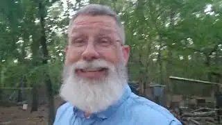 Homestead Update | August Reality Check
