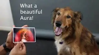 Pet Aura Portraits with Aura Weaver!
