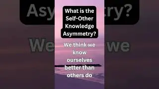 What is the Self-Other Knowledge Asymmetry?